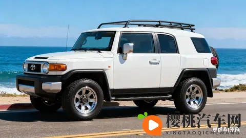 2008款丰田FJ Cruiser全车修复耗时1000小时-1