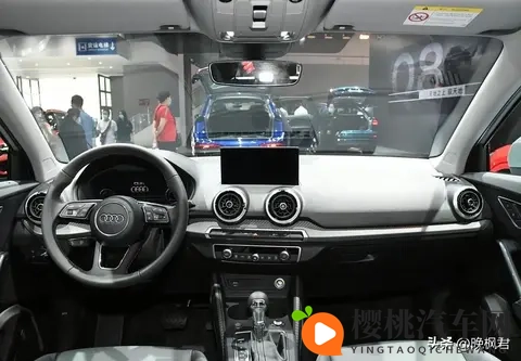 低价奥迪标下套大众底盘，十二万能提SUV，年轻人上车后咋纠结-2