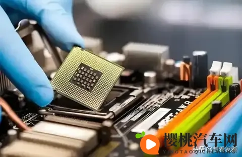 记者质问荷兰首相：你认为荷兰这做法蠢不蠢？他的回应绝了-3