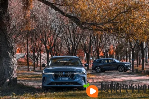 现场看测试场对比:航海家稳得像动画,分贝数据不掺水-2