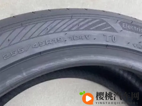 王伟忠和儿媳周莹回乡扫墓：汽车出行新风尚，环保汽车引领未来-1