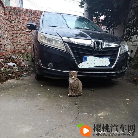 韩系车在中国卖不动了,全球却年销723万,这矛盾太真实-1