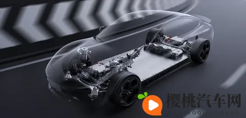 “绿化带战神”背后真相:为何频频冲草坪?专业拆解四大核心原因-1