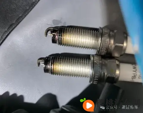 丰满女人和藏獒伦配:胖美人与藏獒佳偶联姻-1