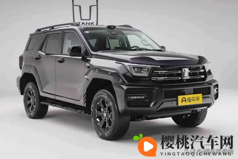 开始玩智能,坦克400改款让人看不懂,用户真需要这么多功能吗?-2