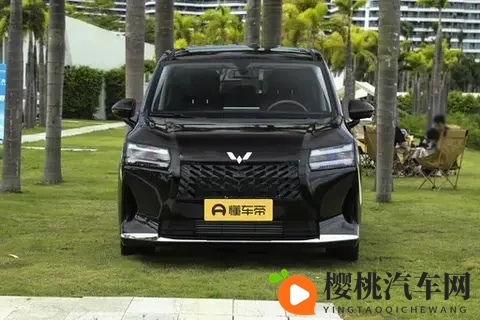 7万多拿下真7座！星光730满足全家出行，第三排不挤不晕-2