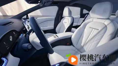 Nappa真皮普及背后：车企宣传的“文字游戏”该停了-1