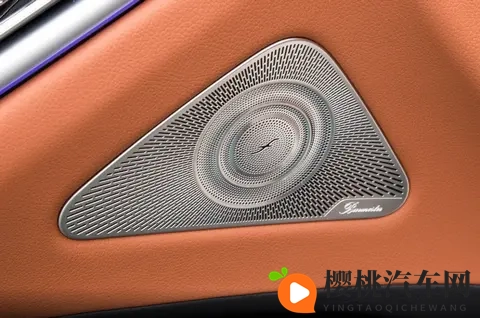 这才是梅赛德斯的味道!奔驰S级选买指南-2