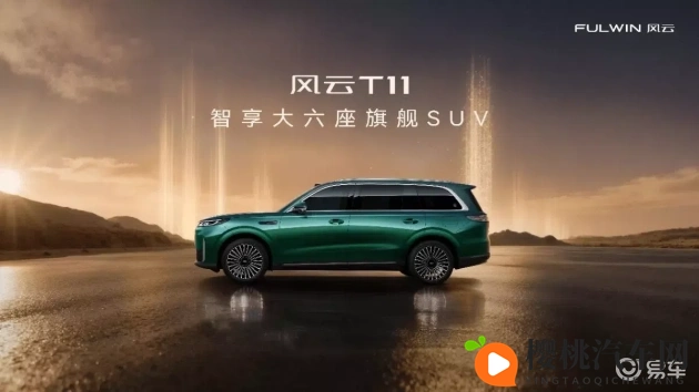 老太婆体内 精:新能源汽车环保潜力大,挑战与机遇并存-1