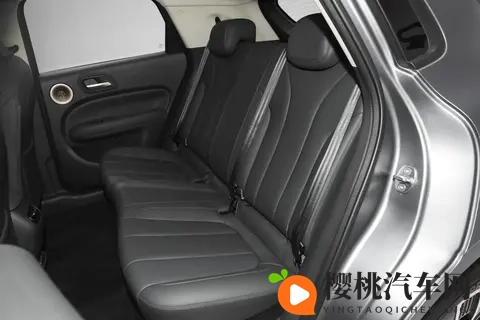 欧拉5开启预售，1098万元起，造型和好猫类似-3