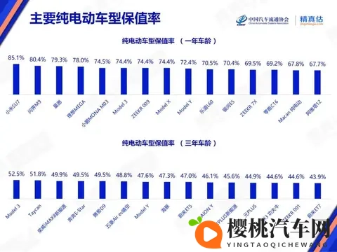 买纯电车要慎重!最新保值率排行:国产车包揽前五,Model Y第九-1