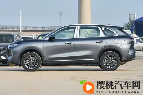 虎_豹两套前脸,尺寸轴距加长,全新瑞虎8预售,你买不买?-3