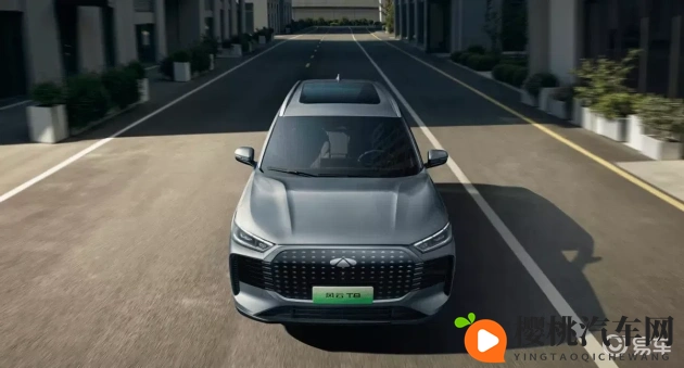 豆花爆料网:新能源汽车三强争霸,市场前景广阔-2