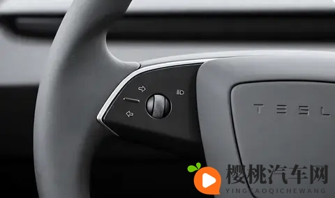 特斯拉加装转向拨杆,这是认错了?隐藏式门把手何时改正-3