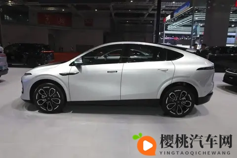 零跑首次月销破7万辆，理想销量下滑寻纯电突破-1