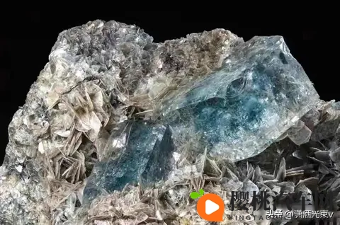 方程豹要推“镁”车，命名太硬核，品牌能扛住吗-2