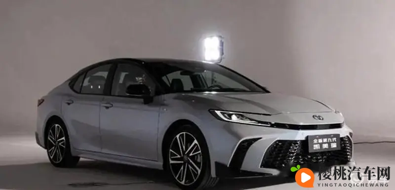 调教 支配 受虐 狂 极端：汽车操控艺术：揭秘速度与激情的进阶之道-2