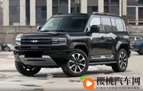 变天了！2025年第三季度硬派越野车销量榜：坦克300丢冠，豹8第9-1