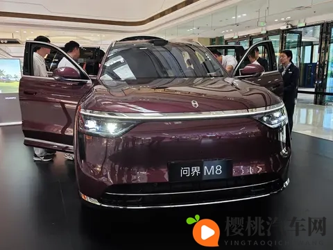 人人看人人干:科技革新,汽车产业共享未来新篇章-2