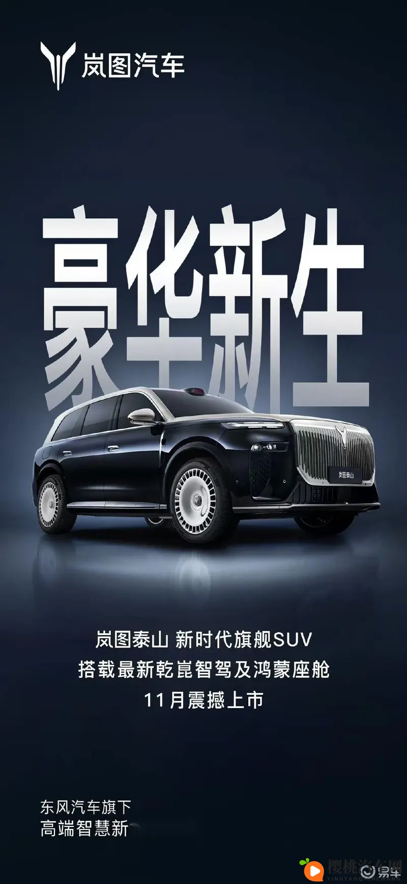 男女差差:男女驾驶差异大揭秘:谁才是更安全的那一个?-1