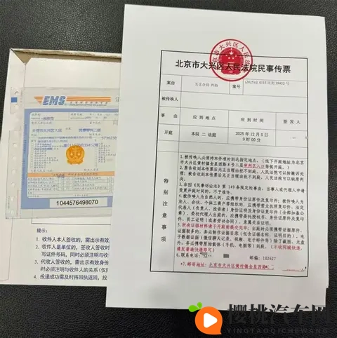 中国车主起诉特斯拉欺诈案一审即将开庭：FSD没有兑现是事实-2