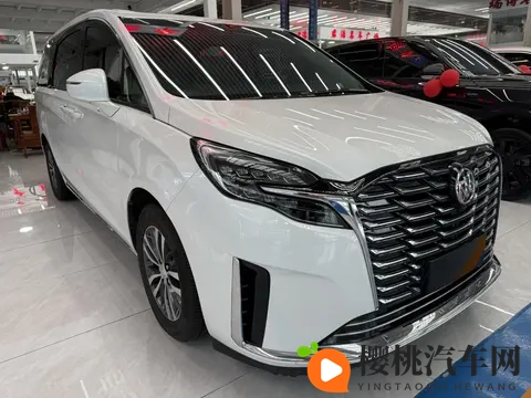 宜商宜家好选择,准新一手别克GL8陆尊-2