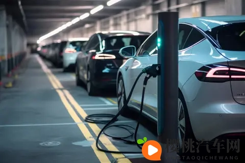 评新能源汽车自燃：安全与发展，我们就是“既要”“又要”  社评-2