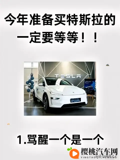 特斯拉车主血泪忠告：5个智商税坑2万，提车用车售后避坑指南-1