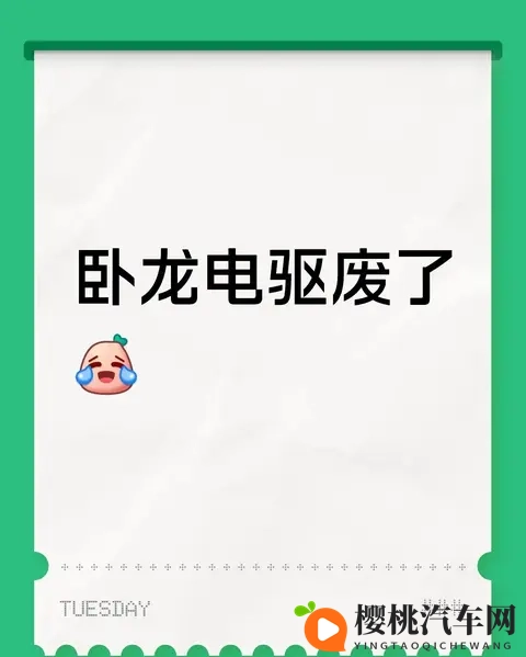 “卧龙电驱废了”?这波调整里,藏着行业和公司的真问题-1
