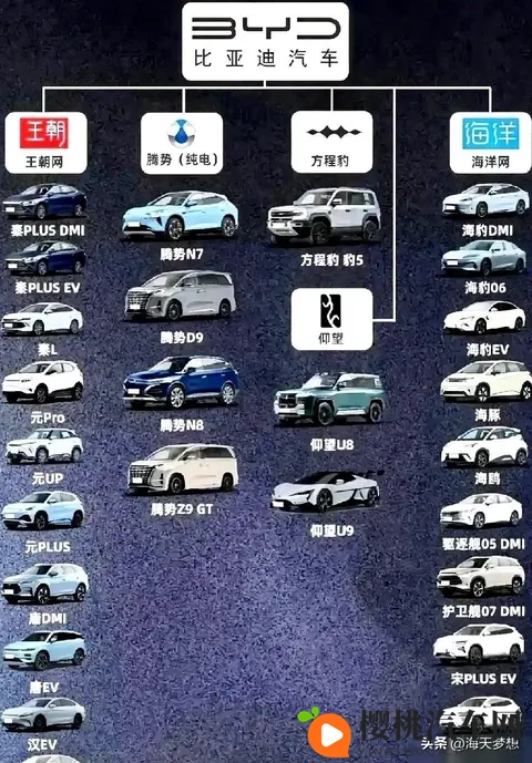 比亚迪“多品牌战略”藏杀机！不是内耗，是阳谋！-1