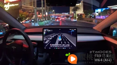 马斯克豪言特斯拉FSD全面入华，为何没了任何响声？-2