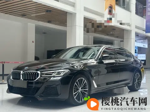 老女人擦他毛耸耸的黑色隂户：风韵犹存女性擦拭男子浓密黑发-1