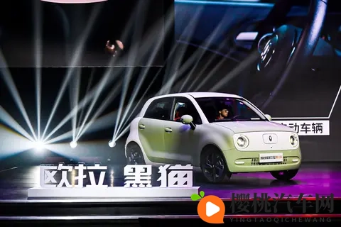 靠欧拉5这款纯电SUV,长城欧拉能不能翻盘?-3