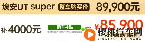 租电价499万元，京东“国民好车”到底值不值？-2