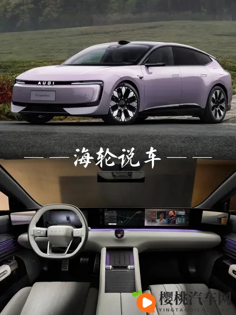 11万~33万，这8款新能源猎装车，闭眼入不后悔-3