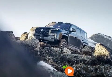 丢掉中国第一！比亚迪疲态显现、快装不下去了？-1