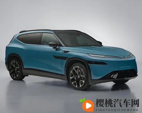 金标大众第二款车型亮相，销量依旧是最大障碍？-2