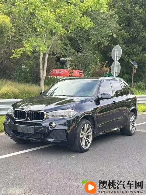 2018款宝马X5:30T+8AT,9万公里,豪华依旧,奶爸之选-1