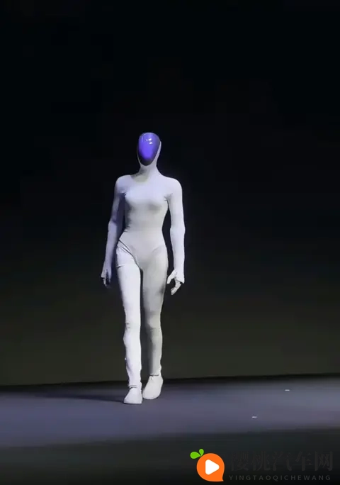 特斯拉VS小鹏:一个练太极一个走猫步,谁才是未来“打工人”?-1