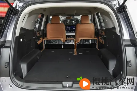 能拉货能越野,价格是坦克300的一半,配20T+8AT,分时四驱-3