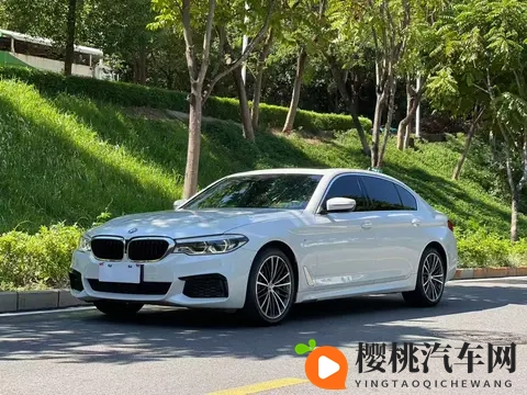 几个油钱就能圆梦?20款宝马530Li,通勤代步好选择-2