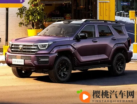 上市降了24万,活在舒适圈里的坦克400确实得上点强度了-2