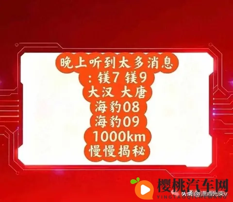 方程豹要推“镁”车，命名太硬核，品牌能扛住吗-3