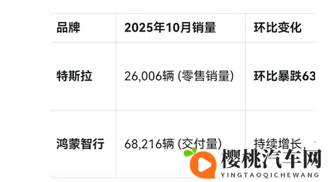 特斯拉销量大幅下滑-2