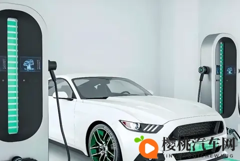 打扑克又疼又叫全程免费应用:免费体验刺激扑克,全程无疼痛感-2