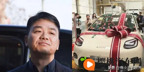 刘强东卖车499万，雷军慌了？-2