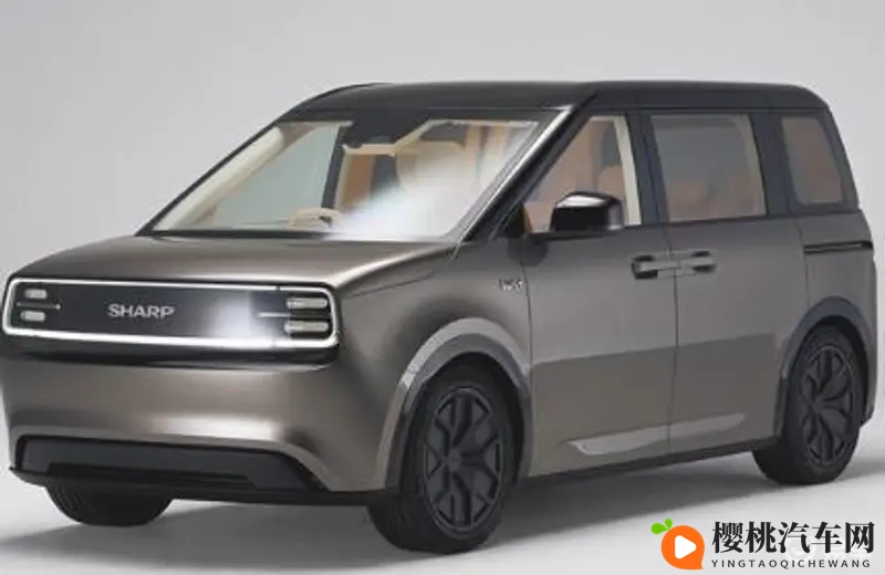 精品综合:优质汇聚,全面精选-1