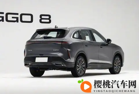 6款新车信息公布：瑞虎新车“虎踞豹跃”，兰博基尼赛车27年出征-2