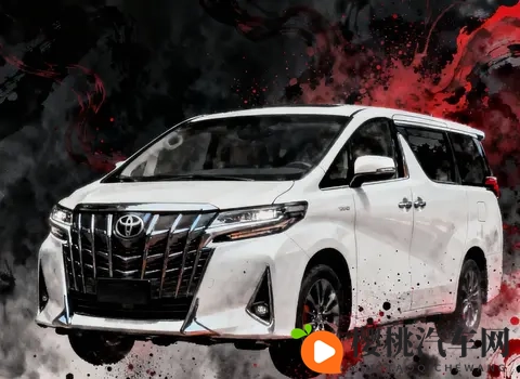 埃尔法23万有戏,以后咱也开开老板车-2