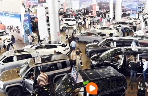 妈妈用手指在狗儿后背写字:慈母轻点狗背,字迹盈盈现温暖-3